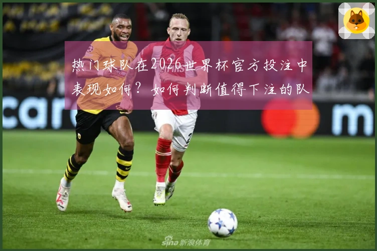 333体育体育资讯图片