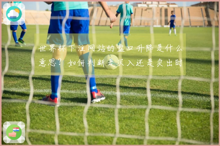 世界杯下注网站的盘口升降是什么意思？如何判断是买入还是卖出时机？