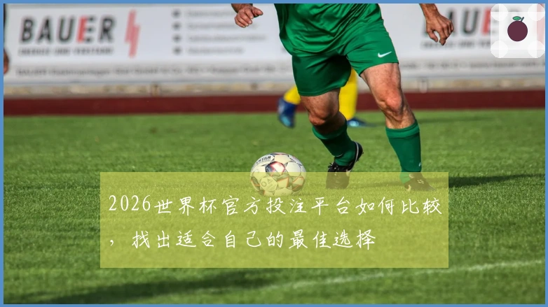 2026世界杯官方投注平台如何比较，找出适合自己的最佳选择