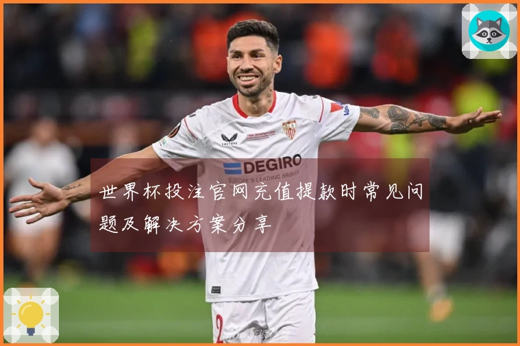 世界杯投注官网充值提款时常见问题及解决方案分享