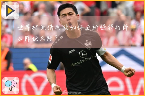 333体育体育资讯图片